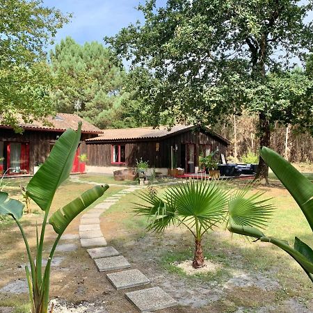 Hacienda De La Canopee Avec Piscine Chauffee Au Sel Hourtin Zewnętrze zdjęcie