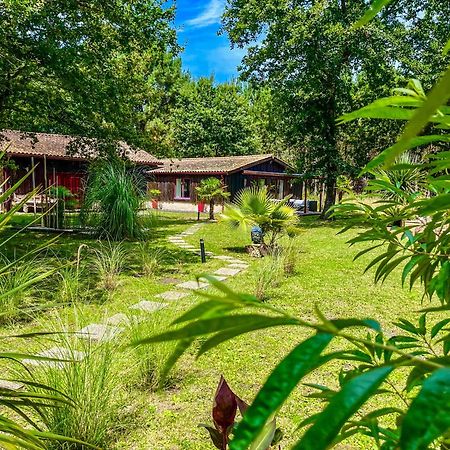 Hacienda De La Canopee Avec Piscine Chauffee Au Sel Hourtin Zewnętrze zdjęcie