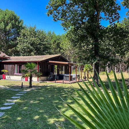 Hacienda De La Canopee Avec Piscine Chauffee Au Sel Hourtin Zewnętrze zdjęcie