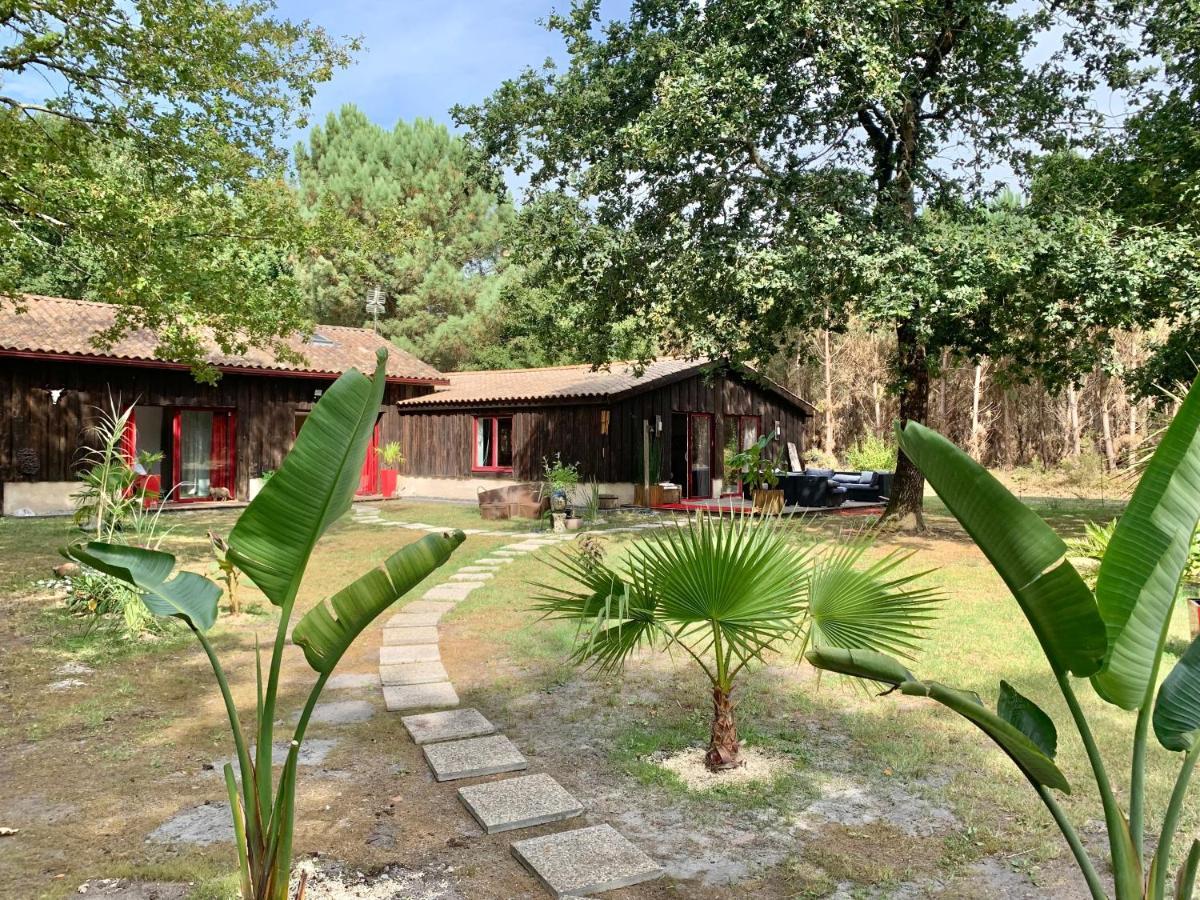 Hacienda De La Canopee Avec Piscine Chauffee Au Sel Hourtin Zewnętrze zdjęcie