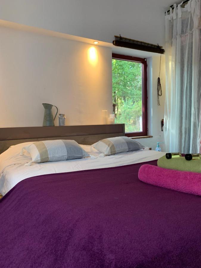 Hacienda De La Canopee Avec Piscine Chauffee Au Sel Hourtin Zewnętrze zdjęcie