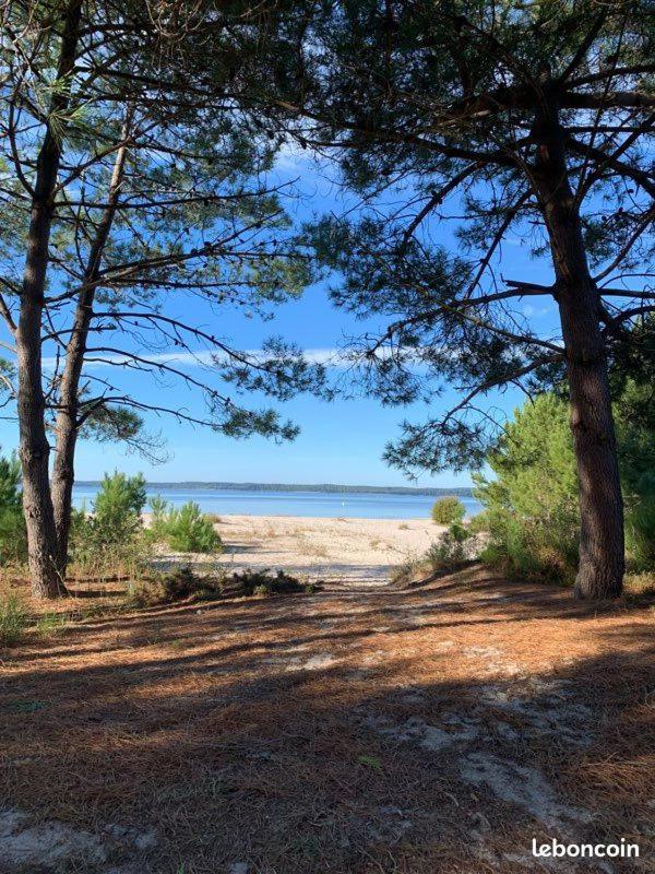 Hacienda De La Canopee Avec Piscine Chauffee Au Sel Hourtin Zewnętrze zdjęcie