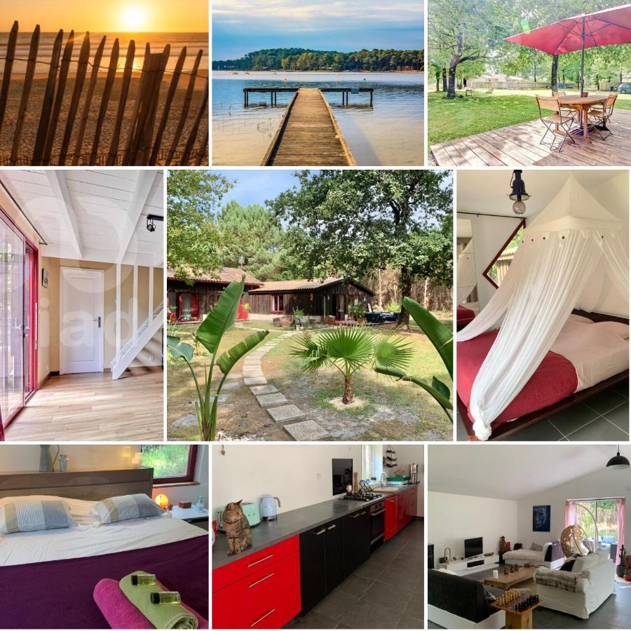Hacienda De La Canopee Avec Piscine Chauffee Au Sel Hourtin Zewnętrze zdjęcie