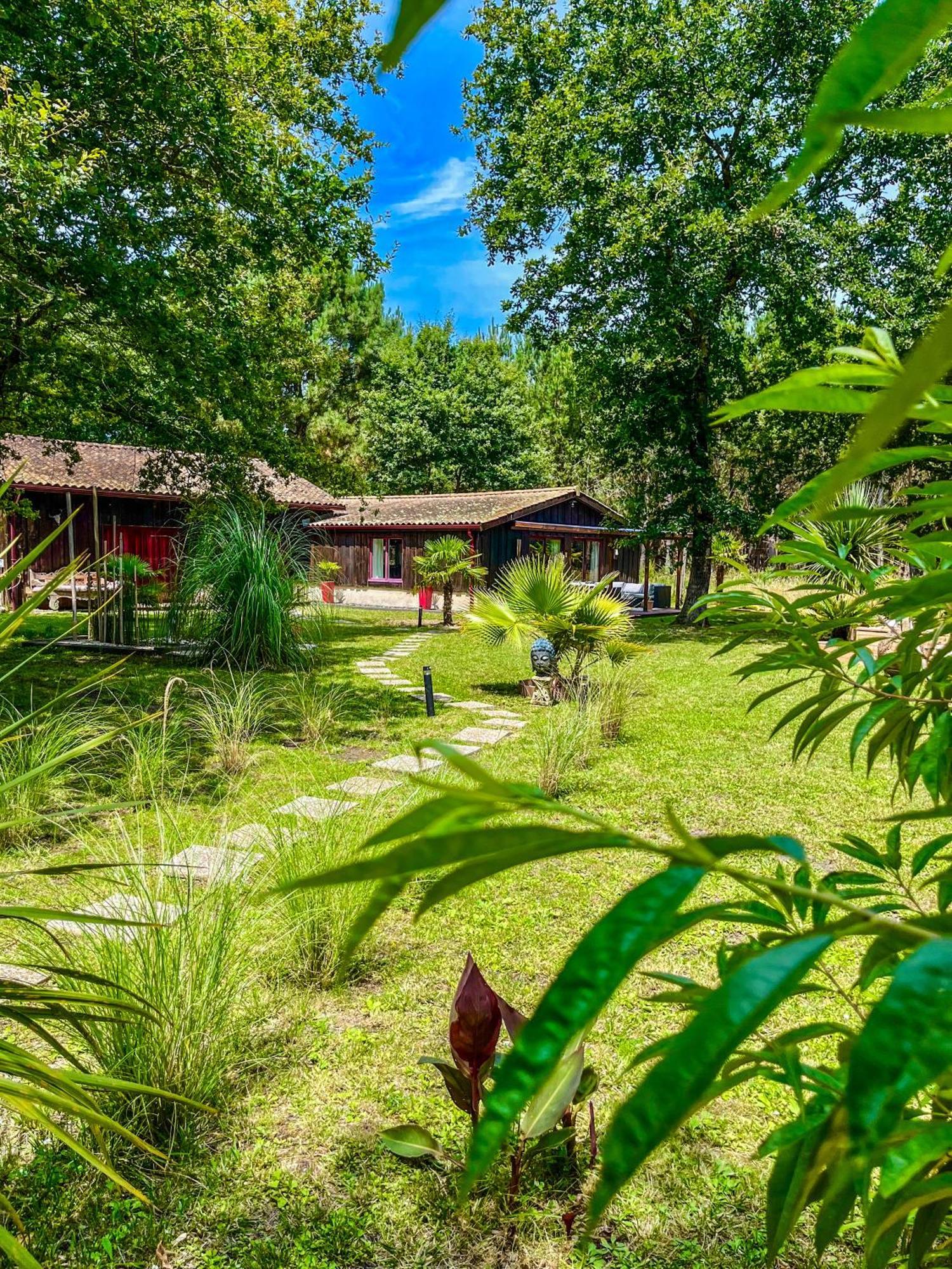 Hacienda De La Canopee Avec Piscine Chauffee Au Sel Hourtin Zewnętrze zdjęcie